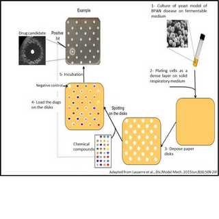 2020-01-10 - Point Projet de recherche Pr Lasserre